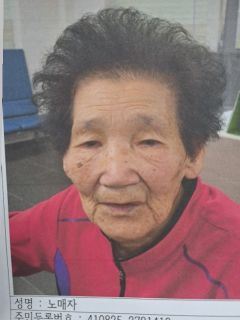 노매자(85세) 여자